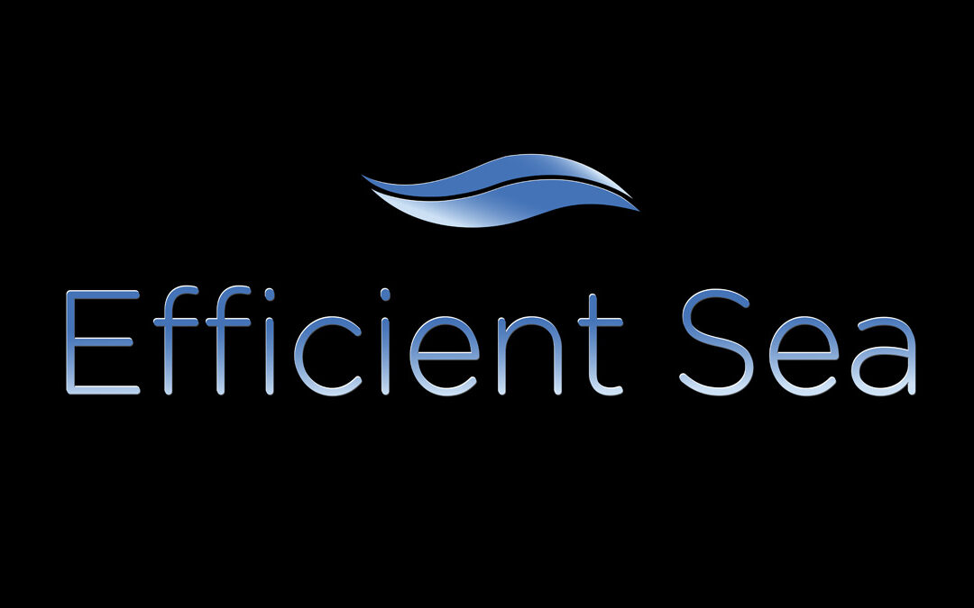 efficient-sea-logo-1200x-675.297b6990000e